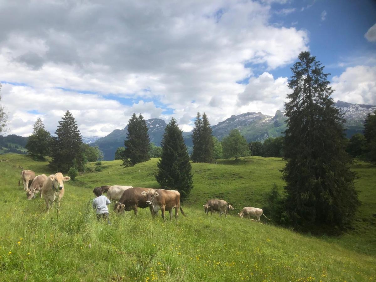 Ferienwohnungen Mit 4 Betten In Gersau Direkt Am Vierwaldstaettersee Ngoại thất bức ảnh