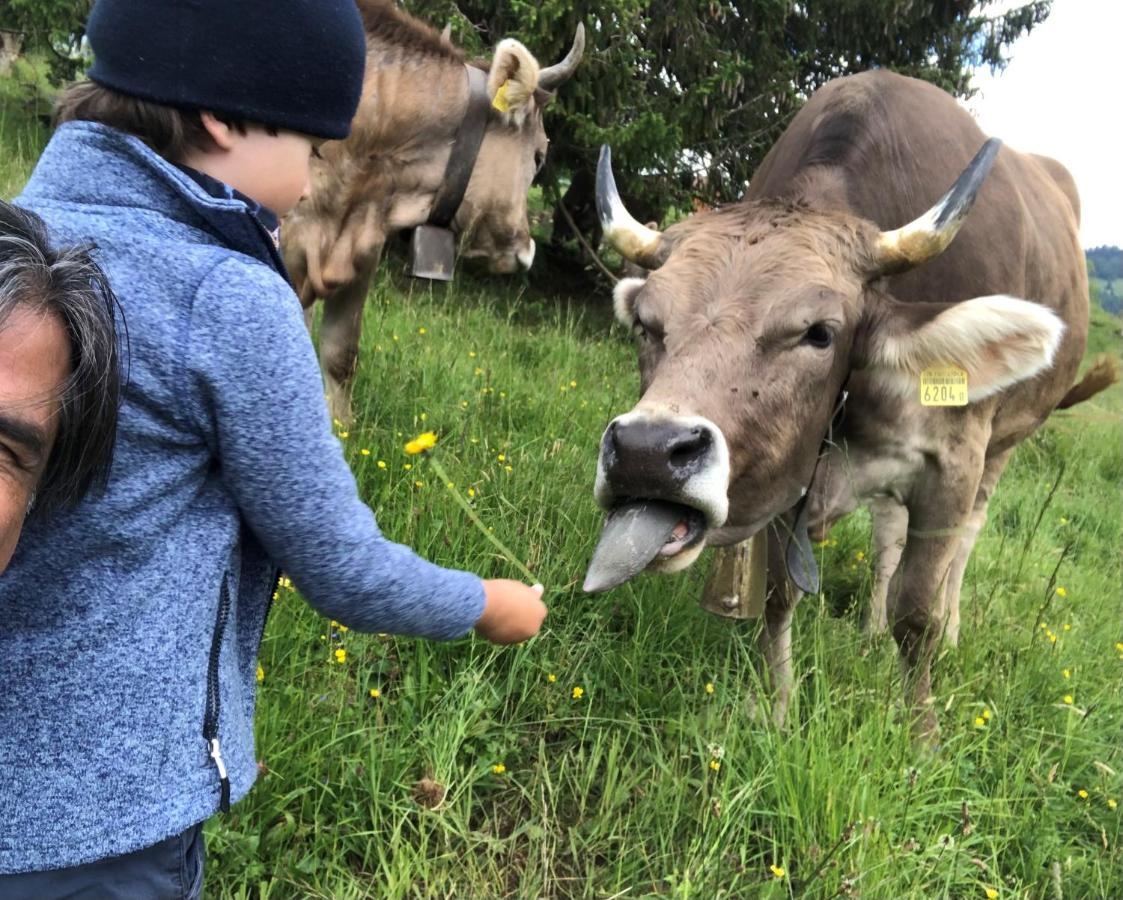 Ferienwohnungen Mit 4 Betten In Gersau Direkt Am Vierwaldstaettersee Ngoại thất bức ảnh